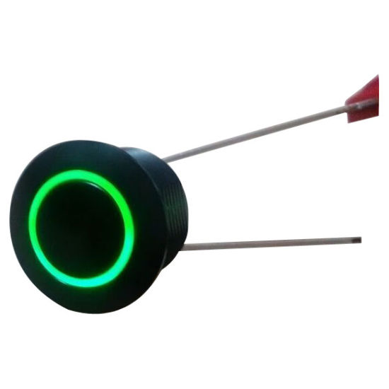 Push Button with Wire (PBS-104B)