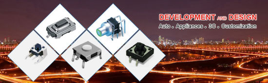 SGS Approval Tact Switch for Digital Product (TSW6-VC1L)