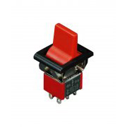 Auto Switch for Car (ASW-10-101)