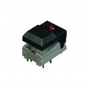 Two LEDs Color Option Pushbutton Switches
